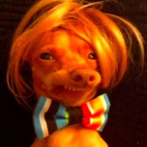 Meet your Posher, Piper